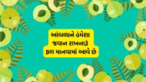 Amla fruit benefits: શિયાળામાં આ 3 રીતે કરો આંબળાનું સેવન, રેસીપી એવી કે સ્વાદ થઈ જશે બમણો