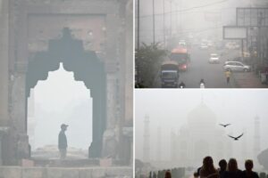 India’s capital chokes as air pollution levels hit 50 times the safe limit